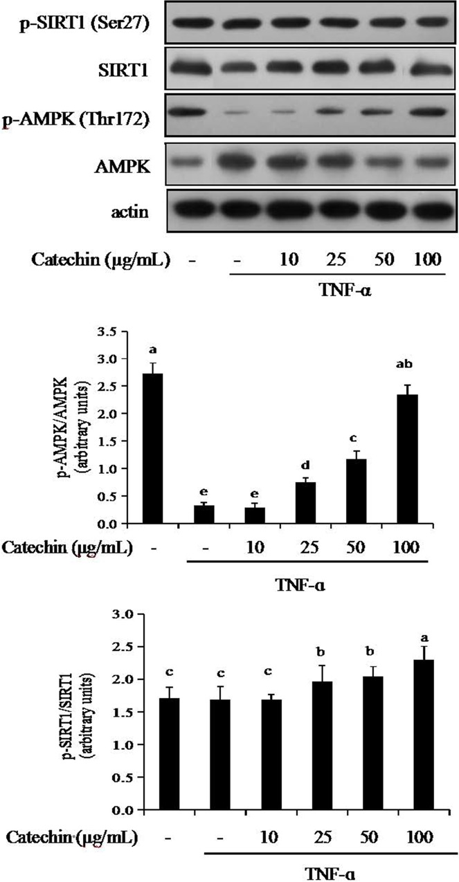 Fig 5