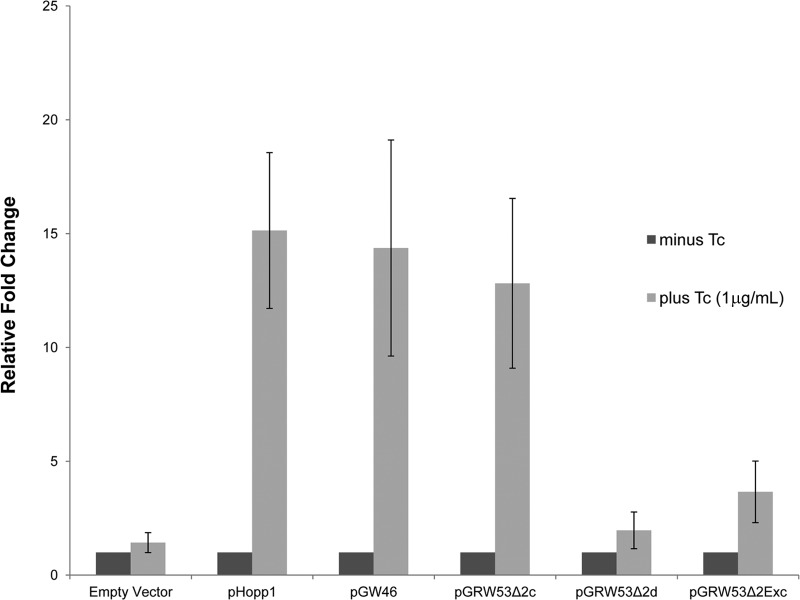 Fig 5