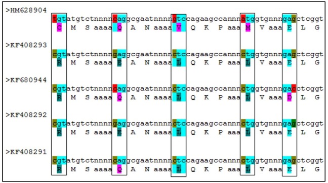 Fig 10