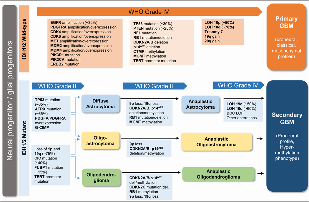 graphic file with name nihms-1021454-t0004.jpg