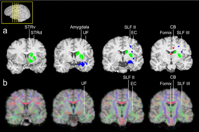  Figure 2. 