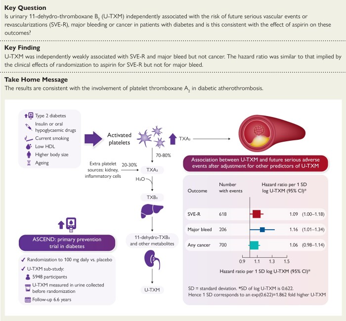 Structured Graphical Abstract