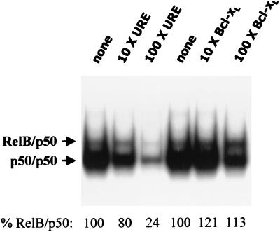 FIG. 10.