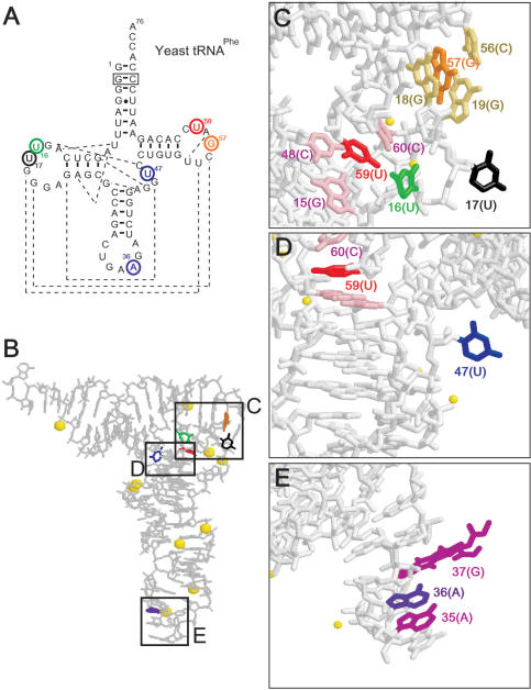 Figure 4.