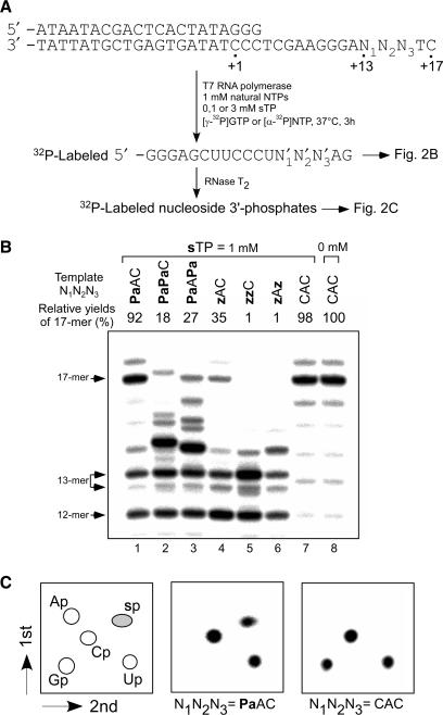 Figure 2.