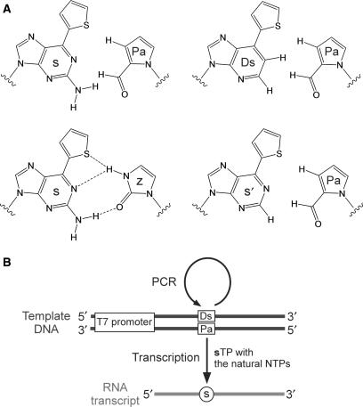 Figure 1.