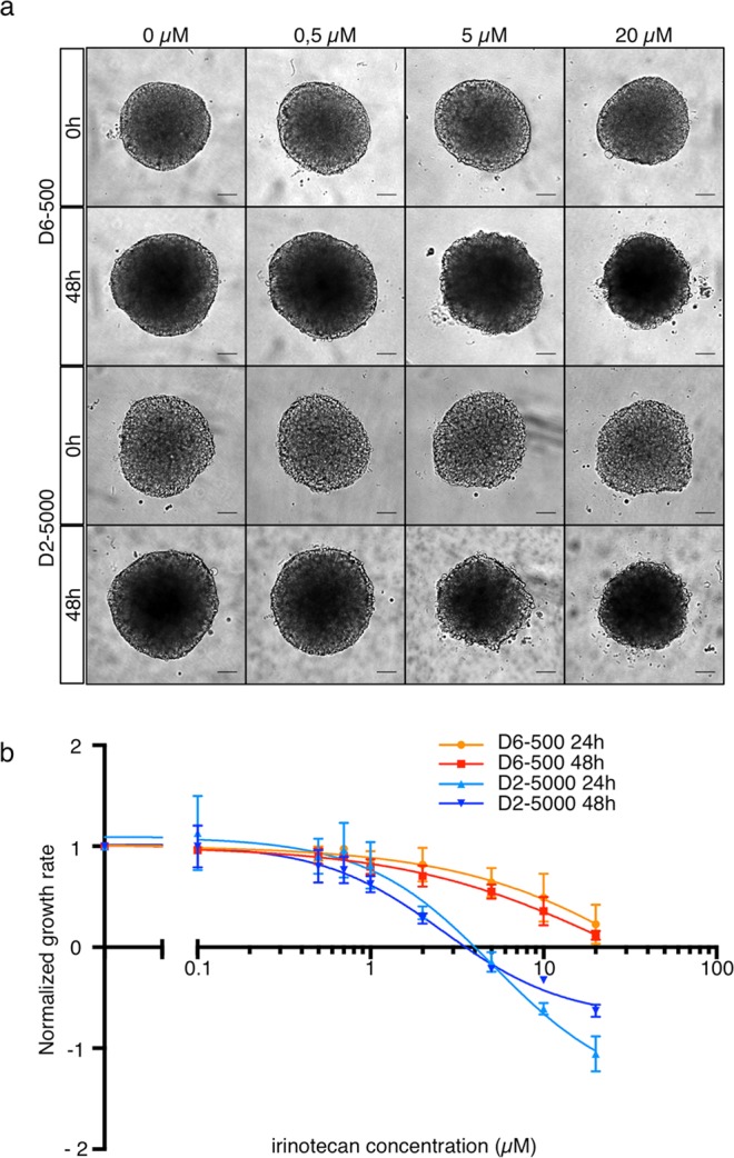 Figure 5