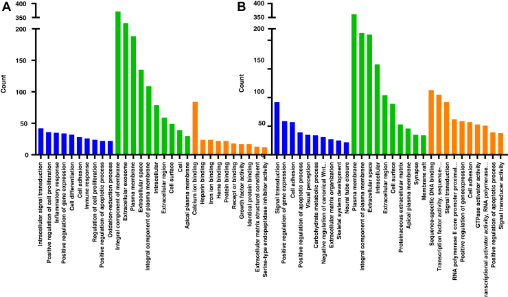 Figure 5