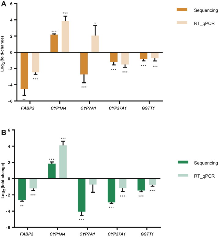 Figure 4