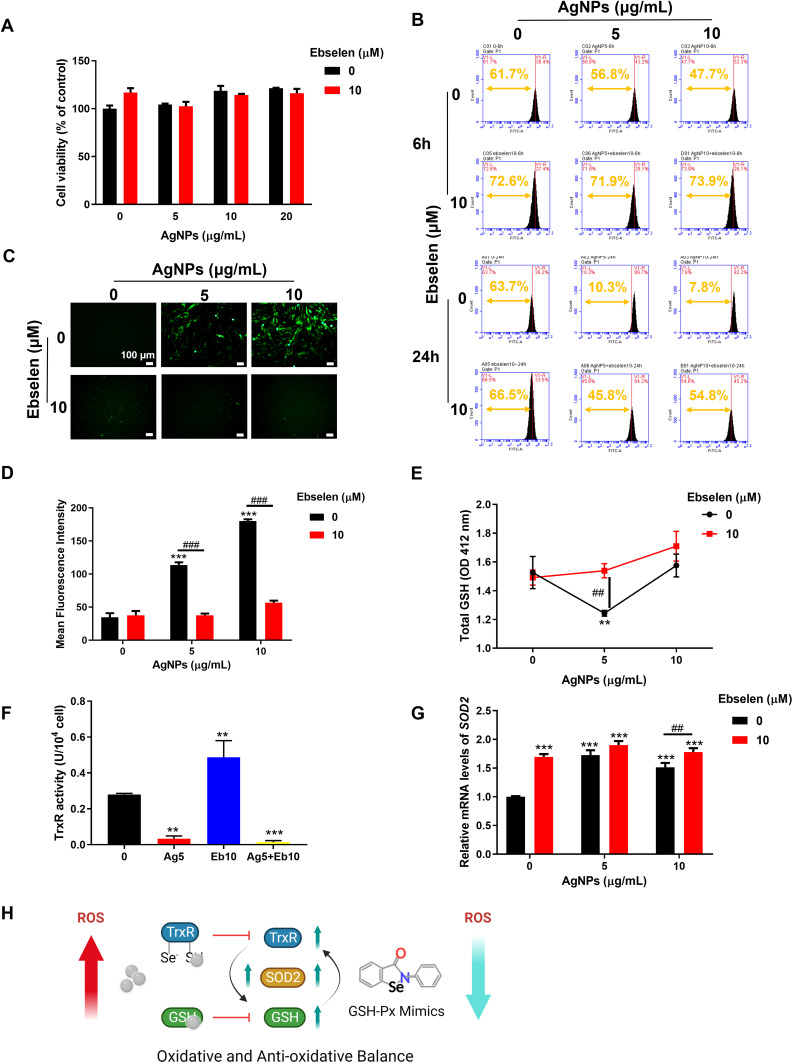 Figure 6