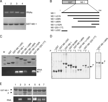 FIG. 7.