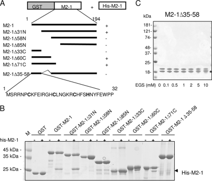 FIG. 6.