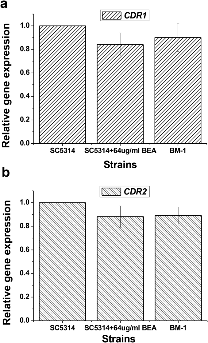 Fig. 3