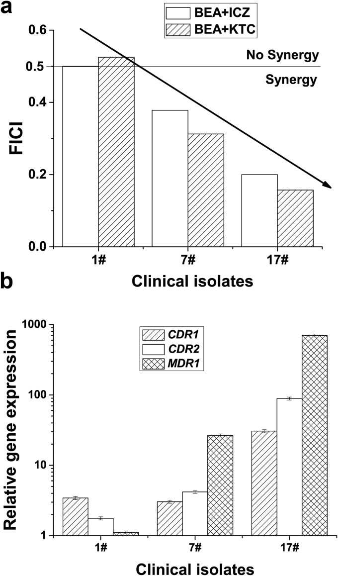 Fig. 4