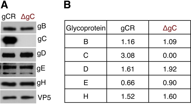 FIG 3