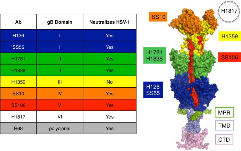 FIG 1