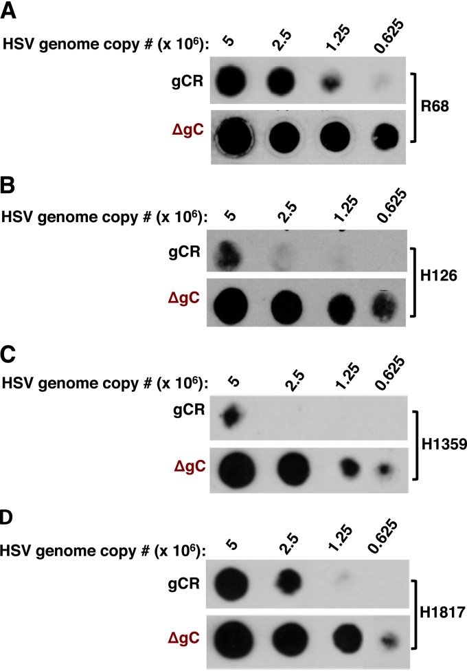 FIG 4