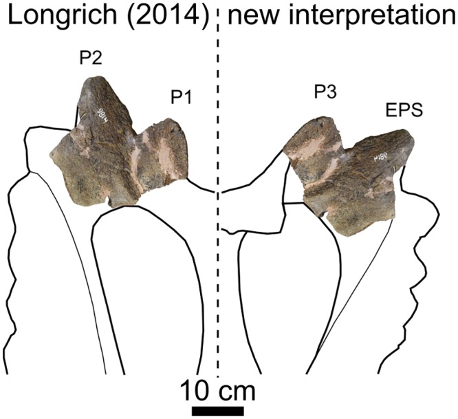 Fig 15