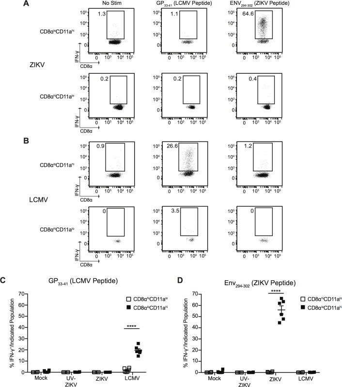 Fig 8