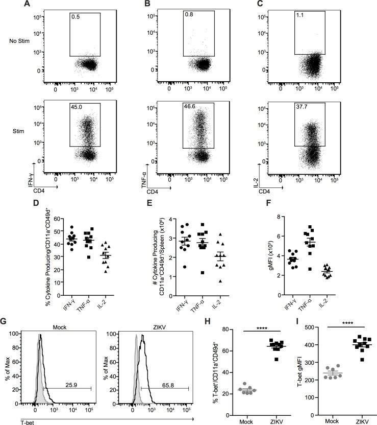 Fig 5