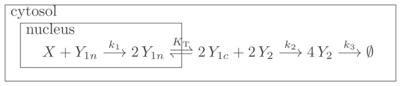 Figure 31