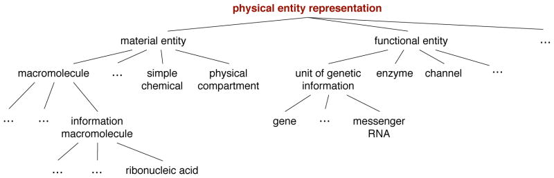 Figure 24