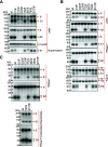FIG 13