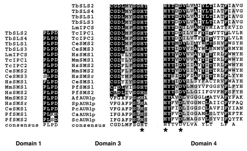 Figure B above