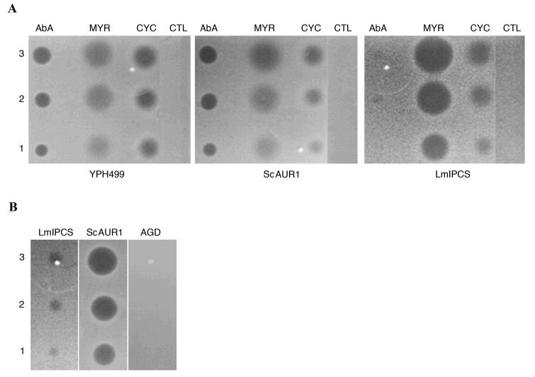 Figure 5