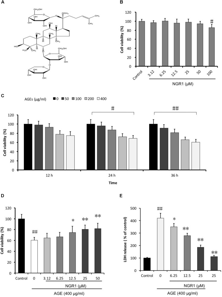 FIGURE 1