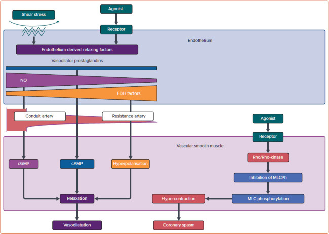 Figure 1: