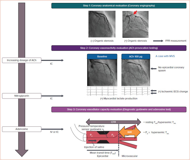 Figure 2: