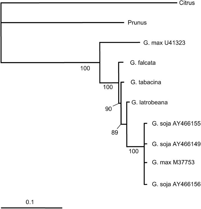 Figure 1.—