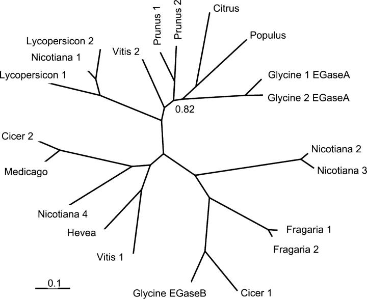 Figure 3.—