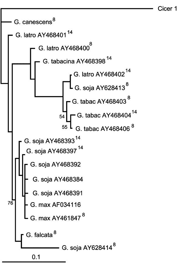 Figure 2.—