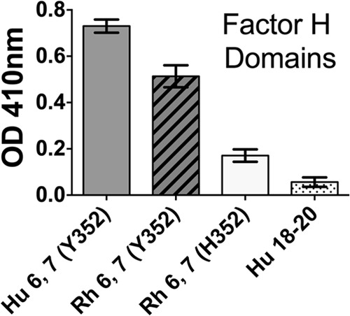 FIG 5