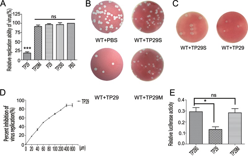 FIG 6