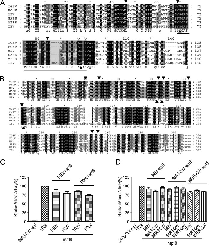 FIG 3