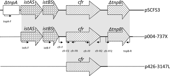 FIG. 1.