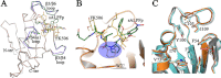 Fig 6