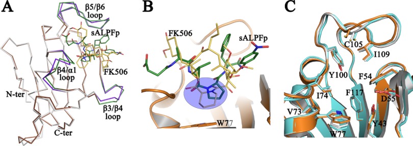 Fig 6