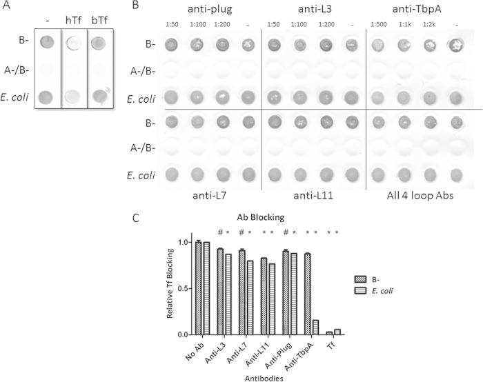 FIG 3