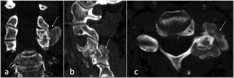 Fig. 7