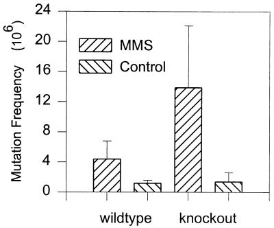 FIG. 7