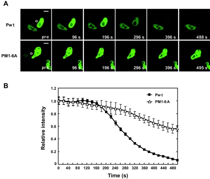 FIG. 7.