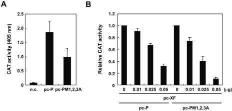 FIG. 8.