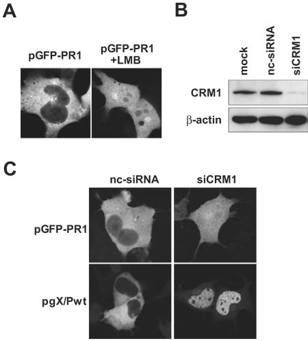 FIG. 5.