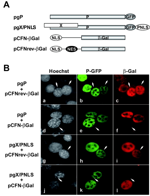 FIG. 6.