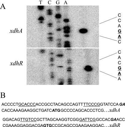 FIG. 5.