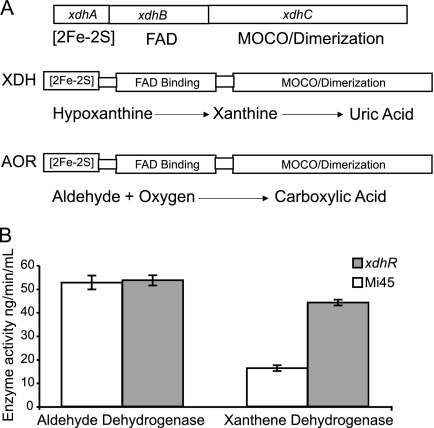 FIG. 6.